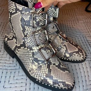 Steve Madden Snake Combat Boot